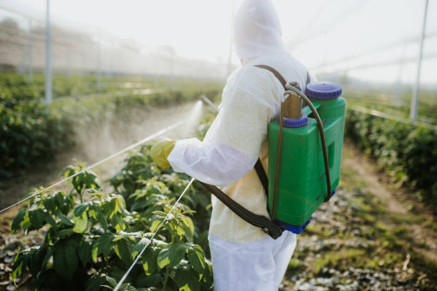 Best Wildlife Control Services  in West Pensacola, FL
